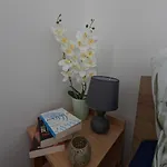 Zakatek *