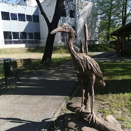 Zakatek *