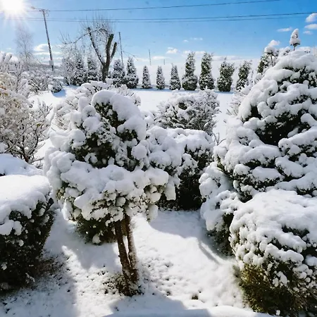 Zakatek